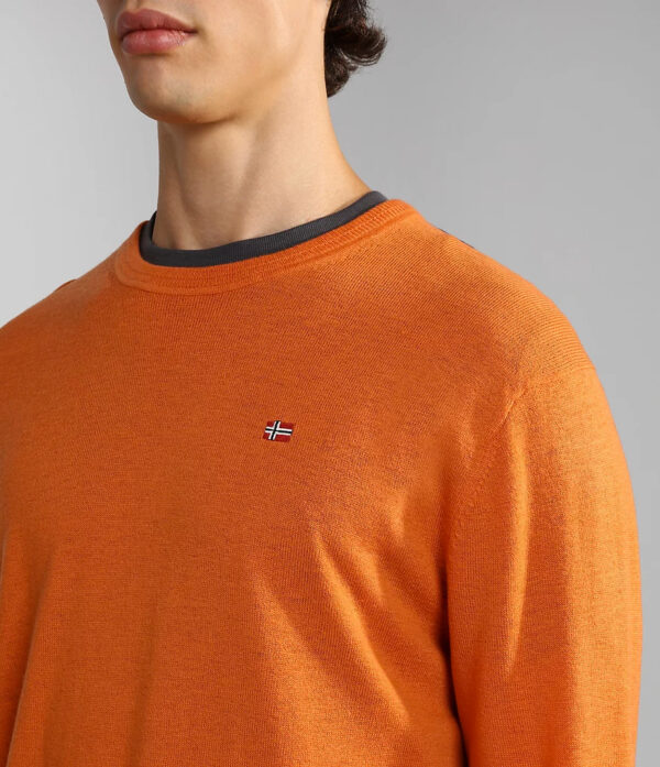 NAPAPIJRI PULLOVER DAMAVAND NP0A4GJUBS51 ♂ - immagine 7